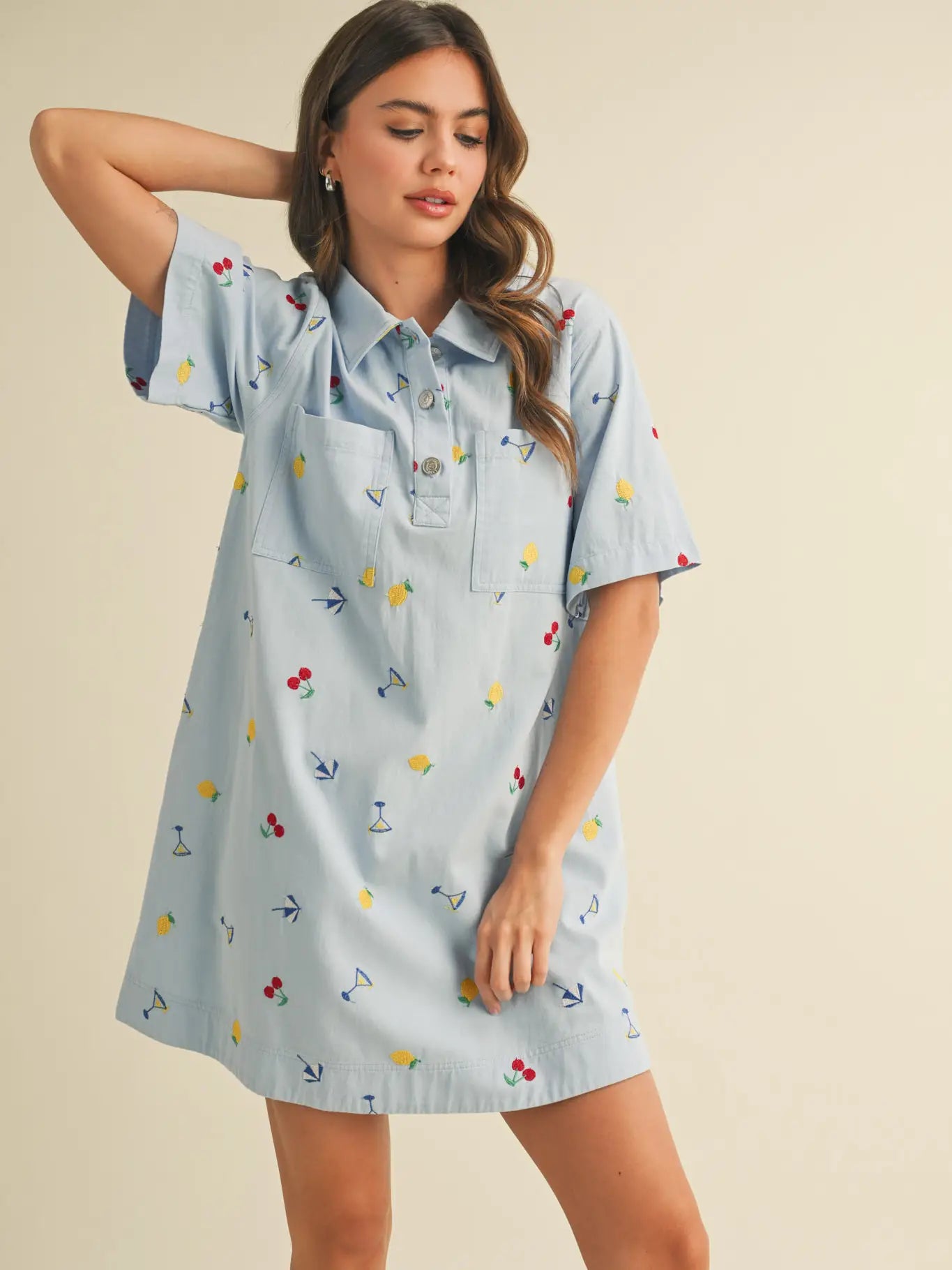 Summer Embroidered Dress