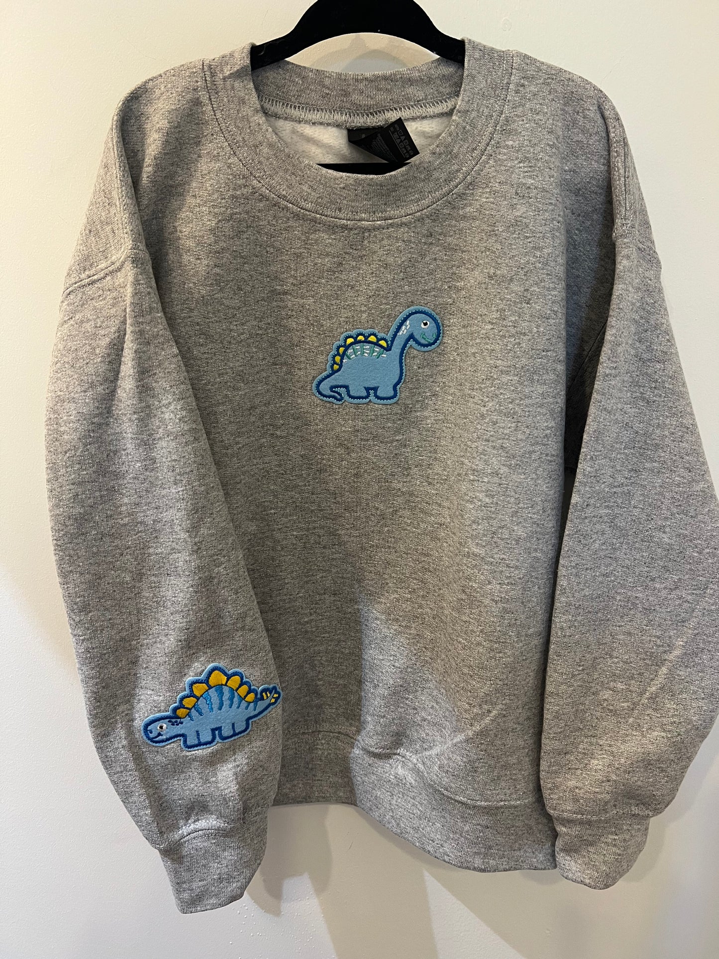 Kids Dino Sweatshirt