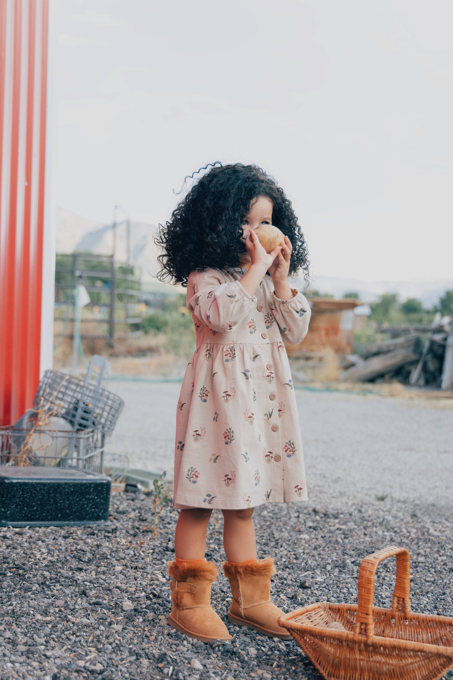 Fall Mushrooms Dress ~Originally $40~