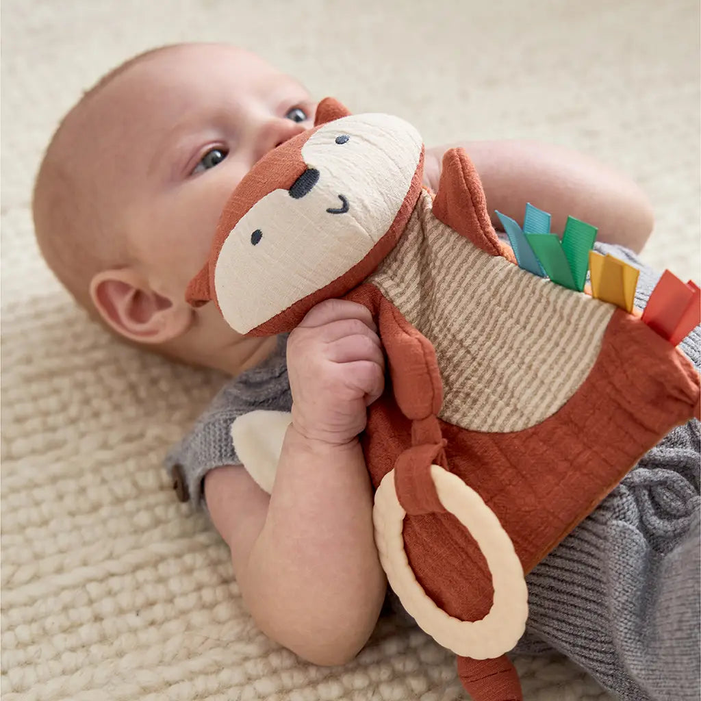 Bitzy Crinkle Toy (More Styles)