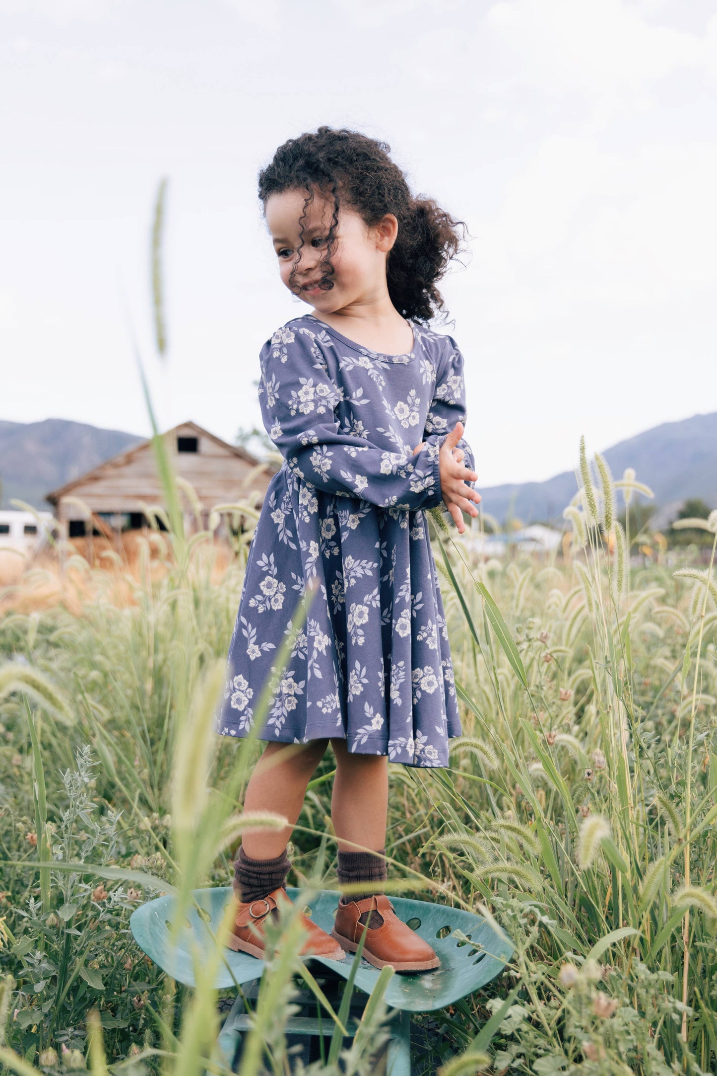Fall Hellebore Twirl Dress ~Originally $38~