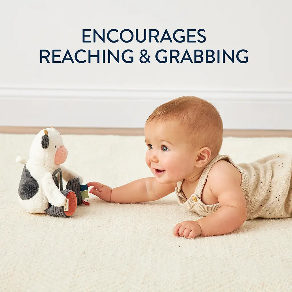 Travel+Tummy Time Toy