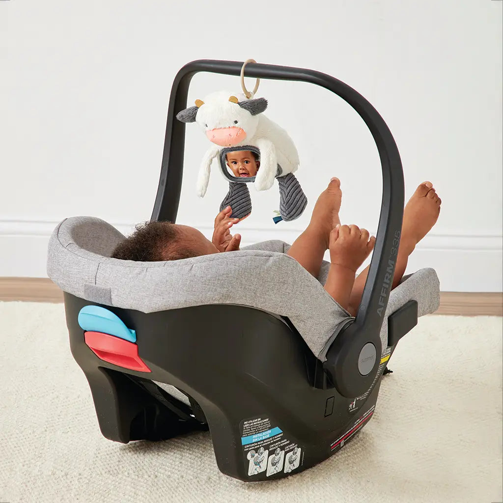 Travel+Tummy Time Toy