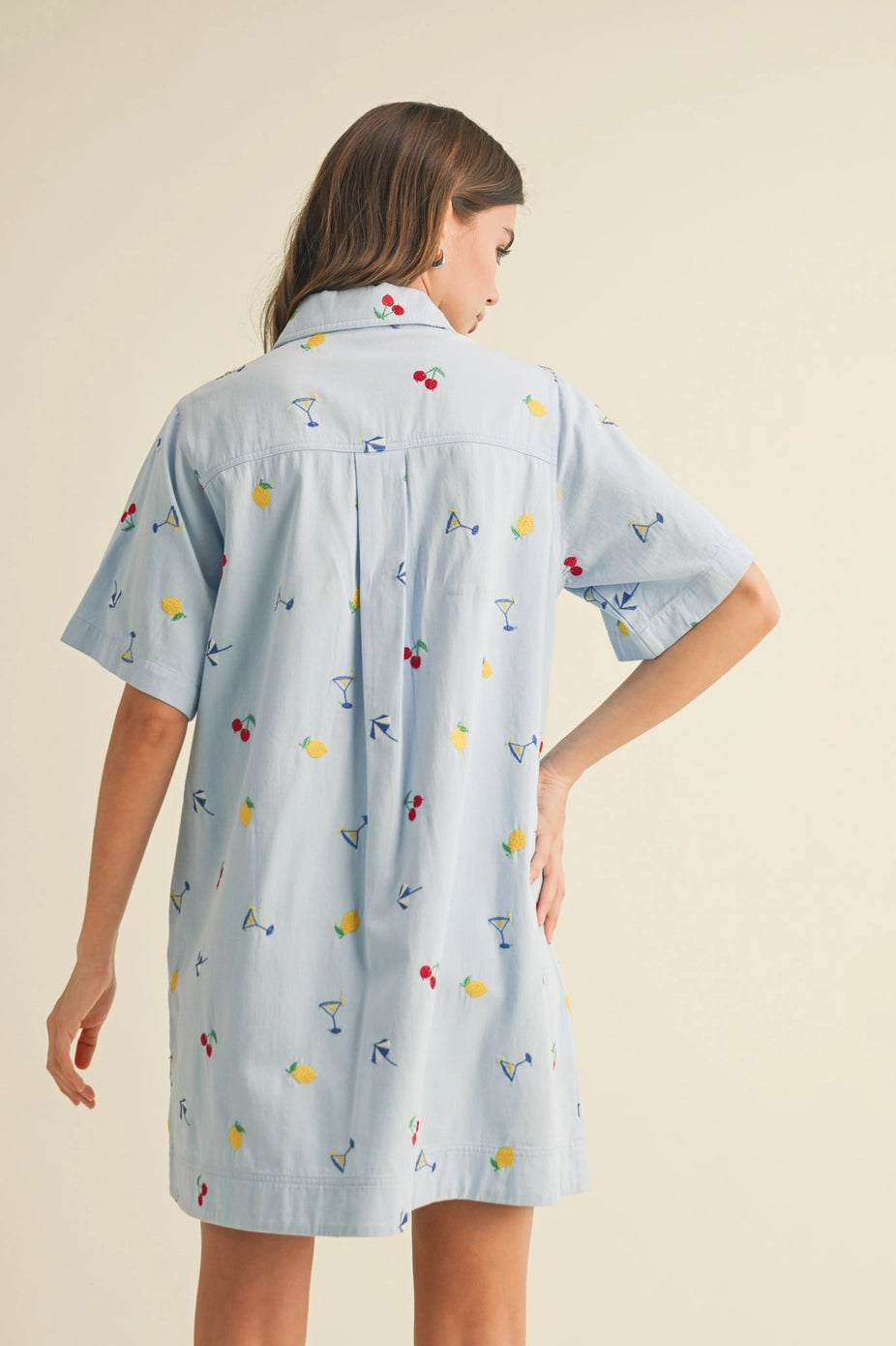 Summer Embroidered Dress