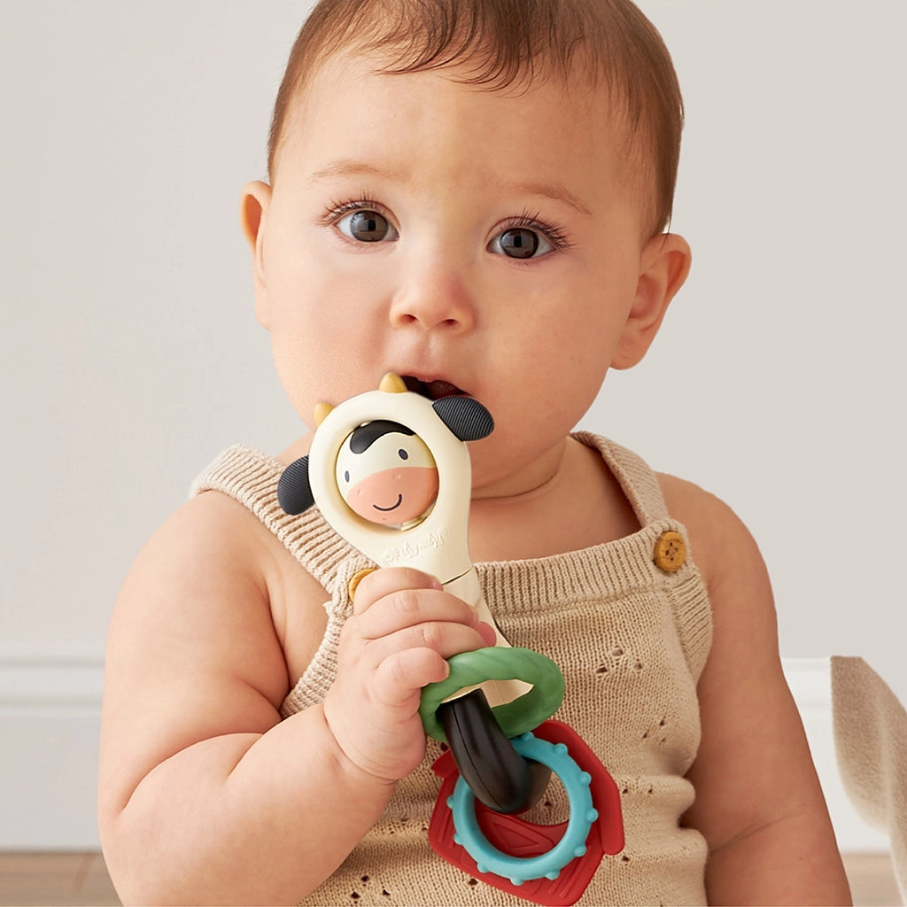 Rattle Spinner