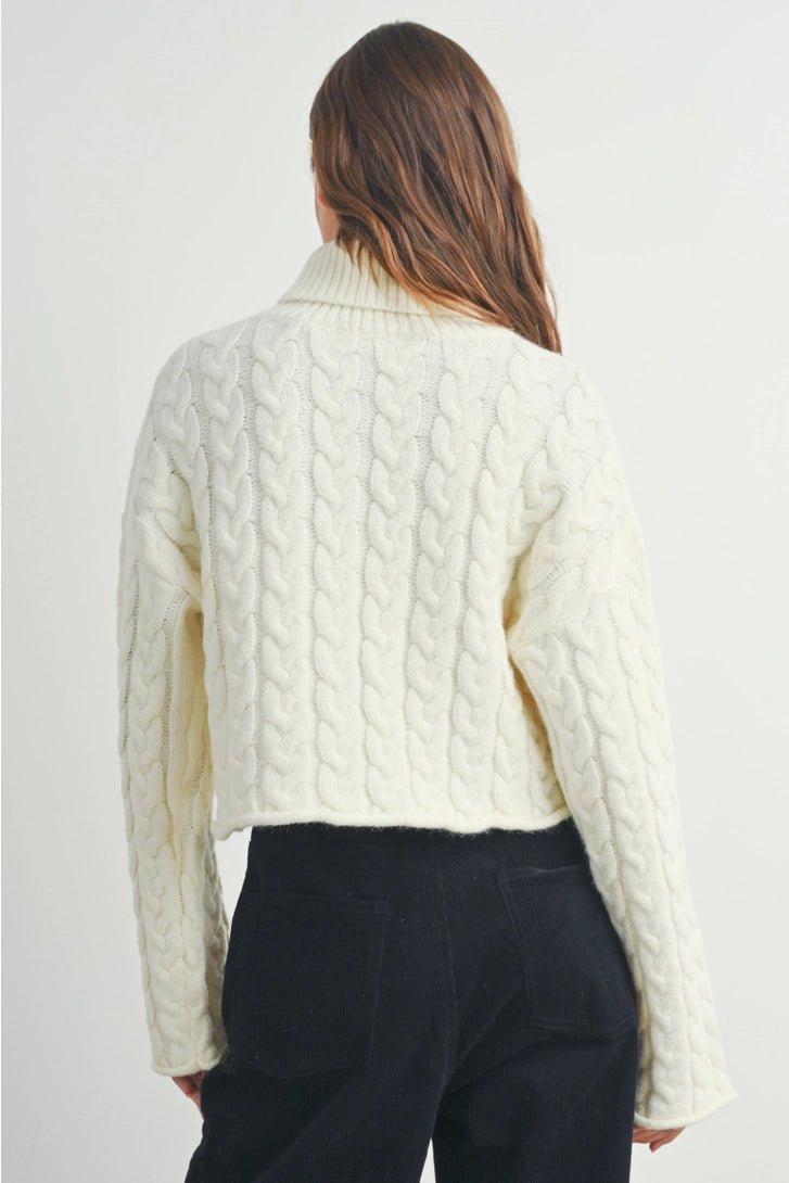 Thick Braid Turtleneck Sweater (More Colors)~SALE $30.40~