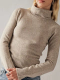Turtleneck Sweater