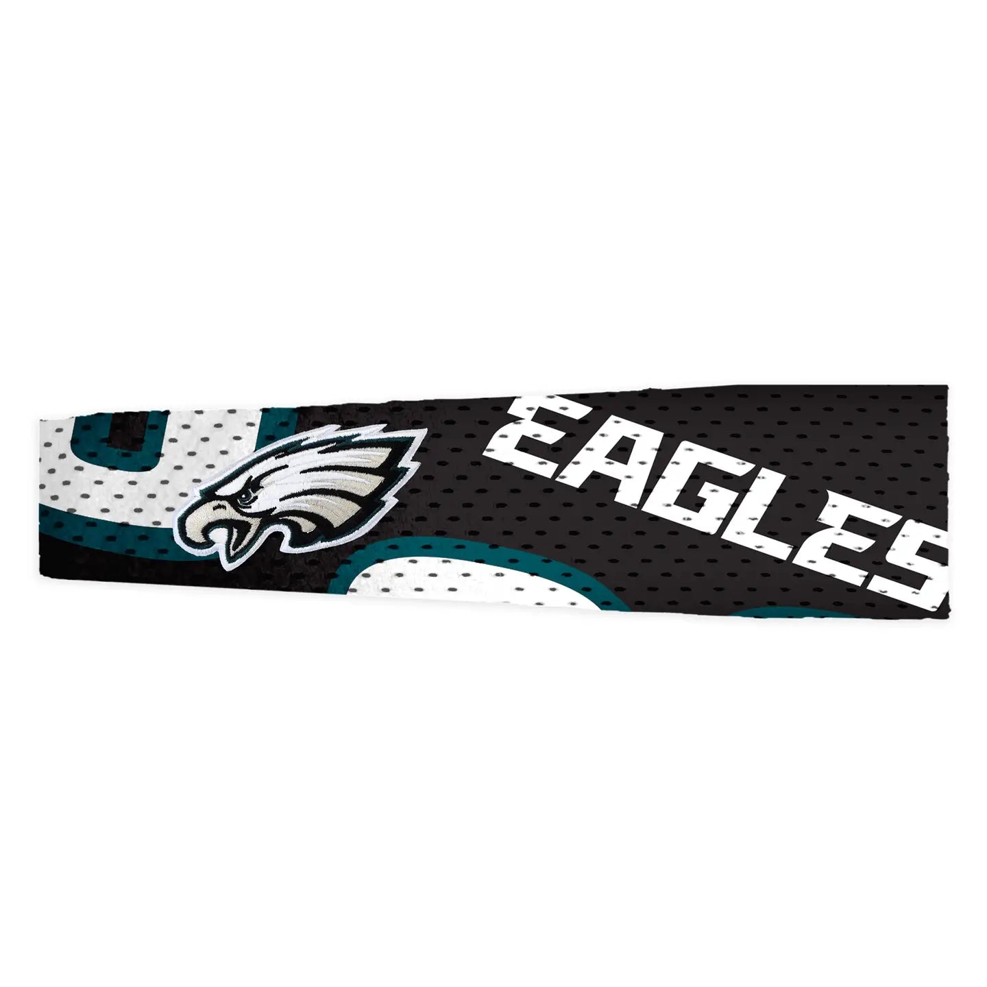 Eagles Fanband
