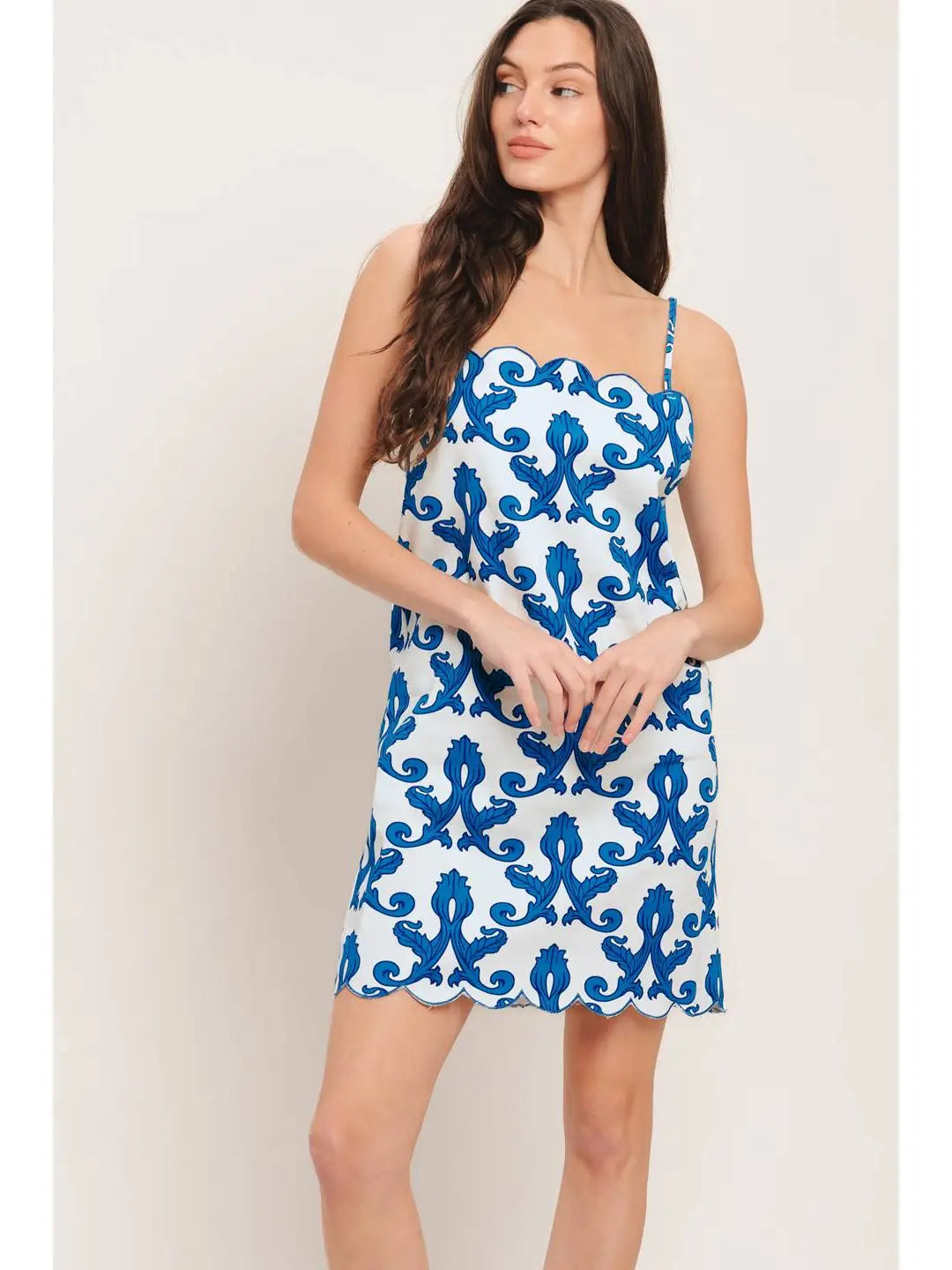 Rosa Printed Mini Dress