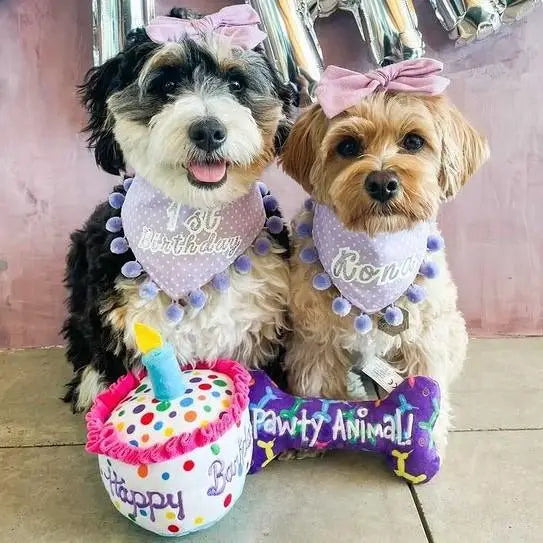 Happy Barkday Dog Toy