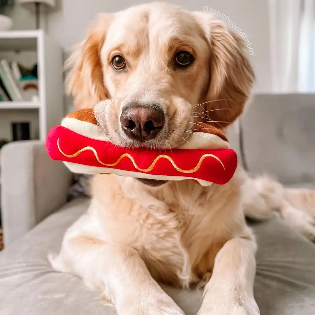 Haute Dog Dog Toy