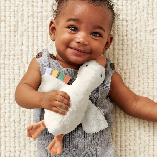 Huggable Goose