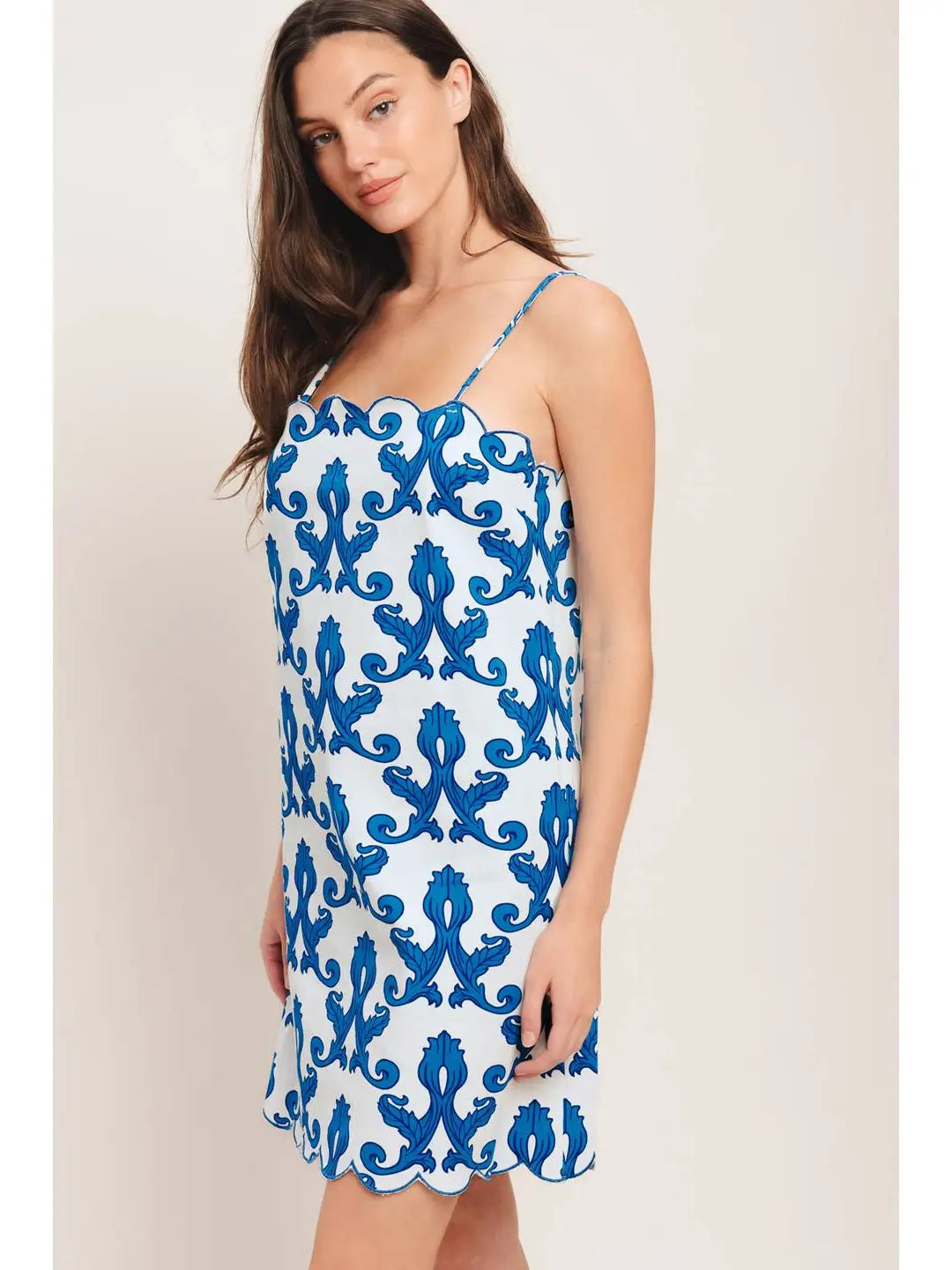 Rosa Printed Mini Dress