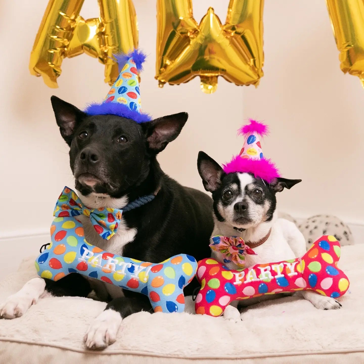 Party Time Bone Dog Toy