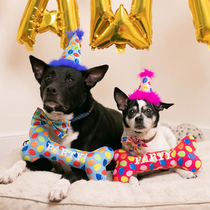 Party Time Bone Dog Toy