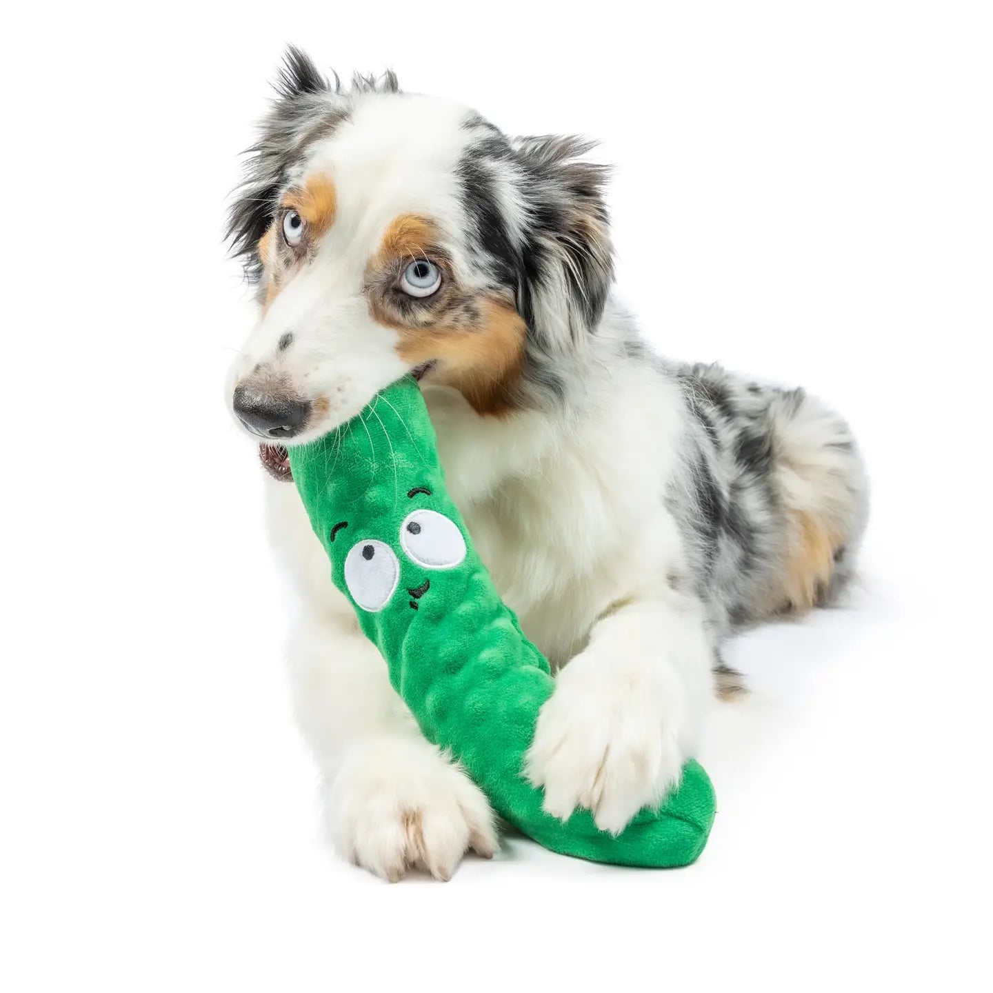 Pickle Dog Toy