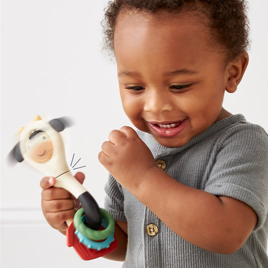 Rattle Spinner