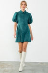 Suede Dress