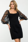 Mesh Sleeve Dress