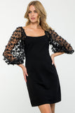 Mesh Sleeve Dress