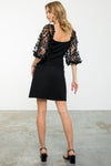 Mesh Sleeve Dress