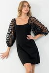 Mesh Sleeve Dress