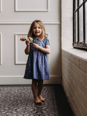 Daisy Collar Dress