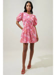 Caicos Mini Dress
