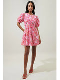 Caicos Mini Dress